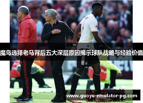 魔鸟选择老马背后五大深层原因揭示球队战略与经验价值 魔鸟选择老马背后五大深层原因揭示球队战略与经验价值