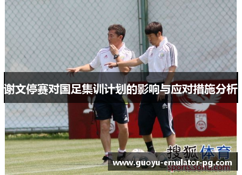 谢文停赛对国足集训计划的影响与应对措施分析 谢文停赛对国足集训计划的影响与应对措施分析