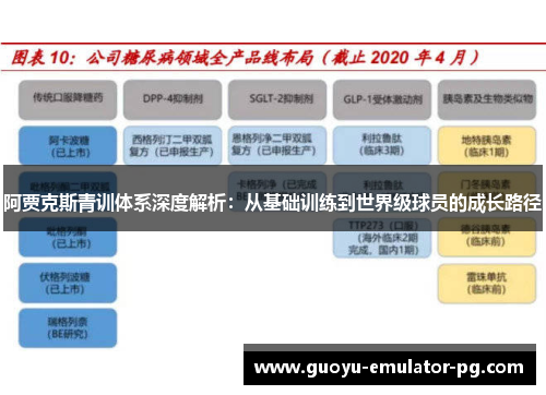 阿贾克斯青训体系深度解析：从基础训练到世界级球员的成长路径