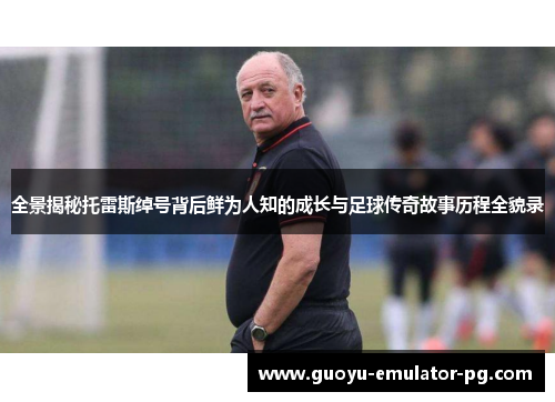 全景揭秘托雷斯绰号背后鲜为人知的成长与足球传奇故事历程全貌录 全景揭秘托雷斯绰号背后鲜为人知的成长与足球传奇故事历程全貌录