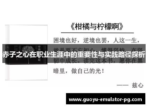 赤子之心在职业生涯中的重要性与实践路径探析