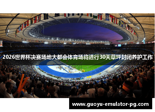 2026世界杯决赛场地大都会体育场将进行30天草坪封闭养护工作 2026世界杯决赛场地大都会体育场将进行30天草坪封闭养护工作